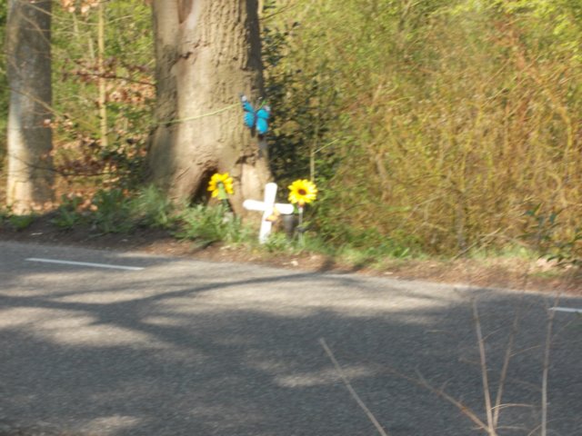 dscn0409.jpg