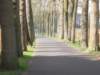 dscn0417_small.jpg