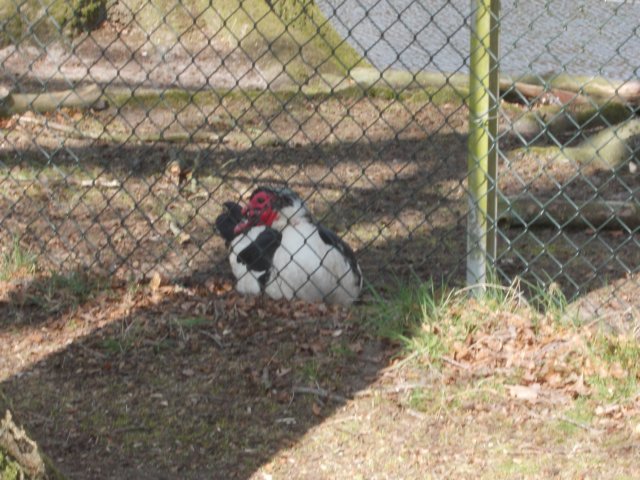 dscn0422.jpg