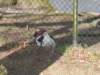 dscn0422_small.jpg