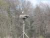 dscn0423_small.jpg