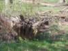 dscn0425_small.jpg