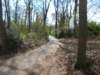 dscn0429_small.jpg