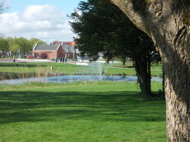 dscn0550.jpg