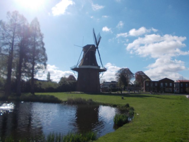 dscn0552.jpg