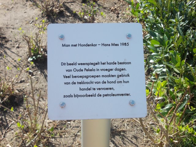 dscn0555.jpg