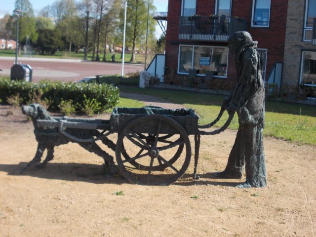 dscn0556.jpg