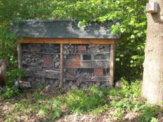 dscn0561.jpg