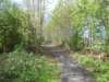 dscn0578_small.jpg