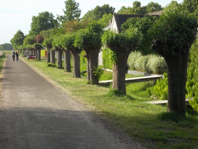 dscn0007.jpg