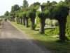 dscn0007_small.jpg