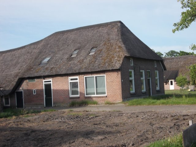 dscn0010.jpg