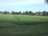 dscn0017_small.jpg