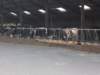 dscn0019_small.jpg