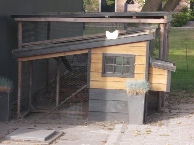 dscn0021.jpg