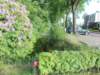 dscn0027_small.jpg