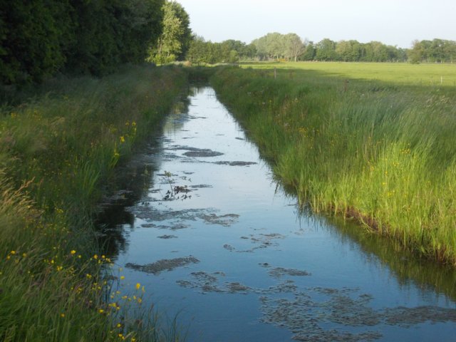 dscn0029.jpg