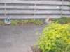 dscn0030_small.jpg