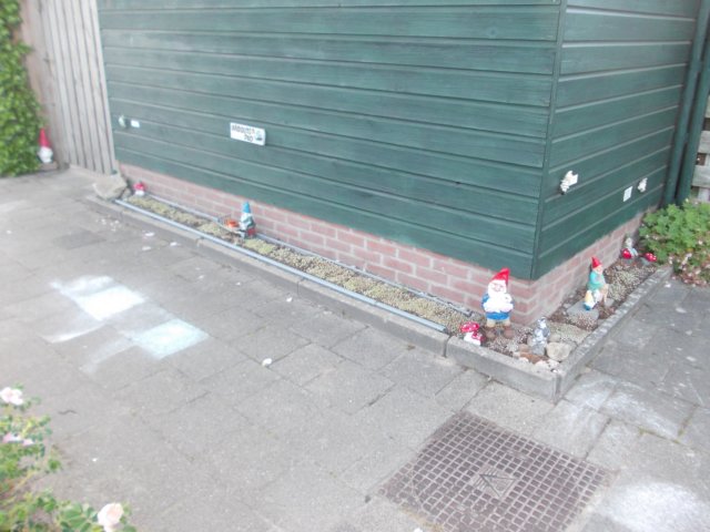dscn0031.jpg