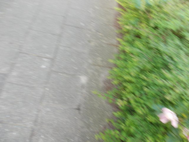 dscn0034.jpg