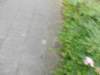 dscn0034_small.jpg