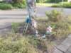 dscn0036_small.jpg