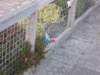 dscn0037_small.jpg
