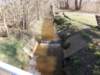 dscn0036_small.jpg