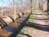 dscn0038_small.jpg