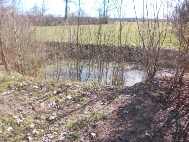 dscn0039.jpg