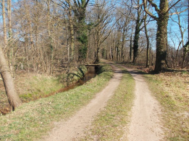 dscn0041.jpg