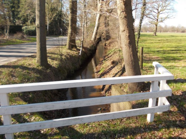 dscn0050.jpg