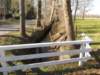 dscn0050_small.jpg