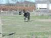 dscn0058_small.jpg