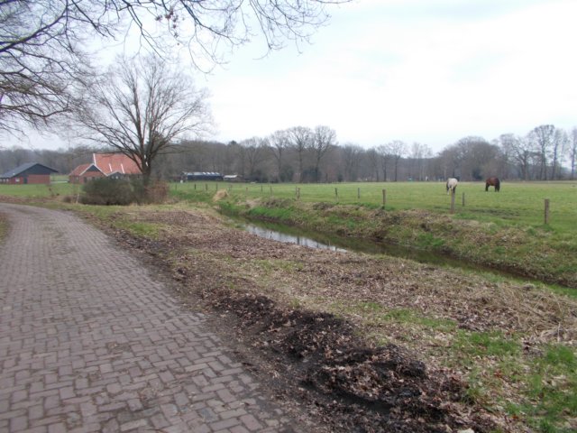 dscn0978.jpg