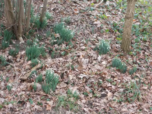 dscn0979.jpg