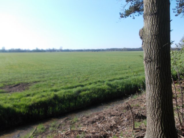 dscn0441.jpg