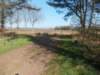 dscn0442_small.jpg