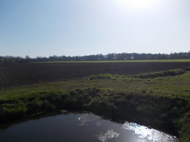 dscn0445.jpg