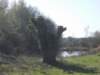 dscn0449_small.jpg