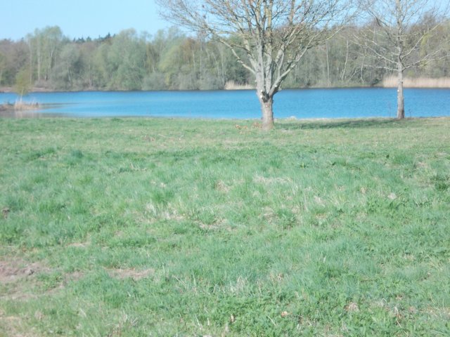dscn0450.jpg