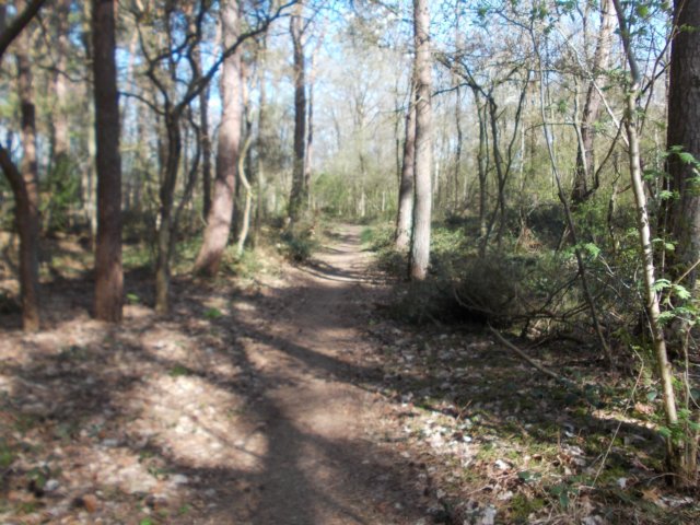 dscn0460.jpg