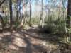 dscn0460_small.jpg