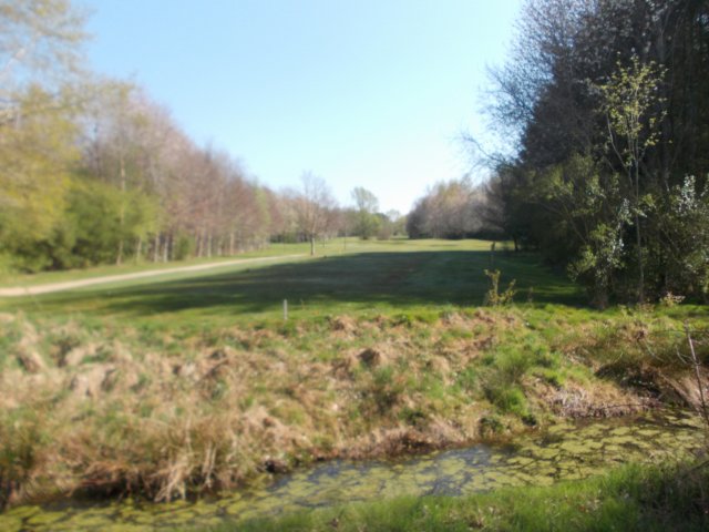 dscn0464.jpg