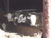 dscn0480_small.jpg