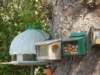 dscn0482_small.jpg