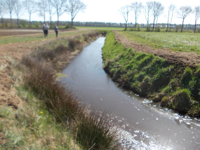 dscn0486.jpg
