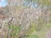 dscn0490_small.jpg