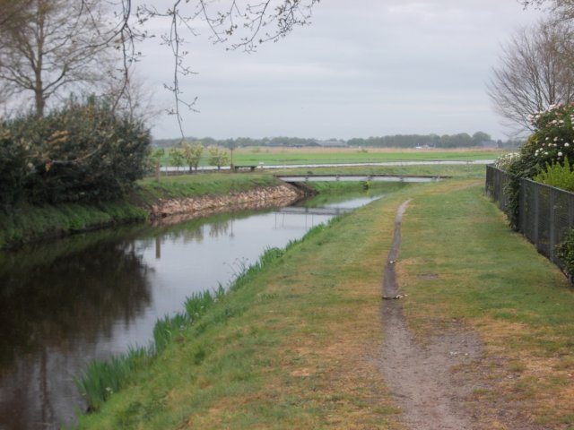 dscn0523.jpg