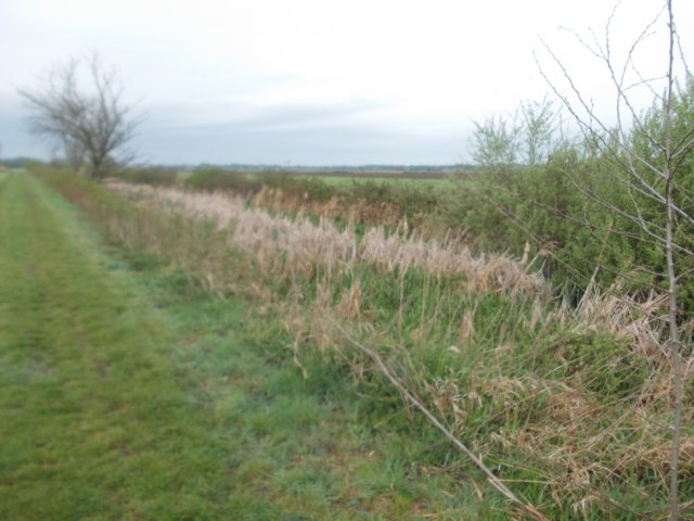 dscn0527.jpg